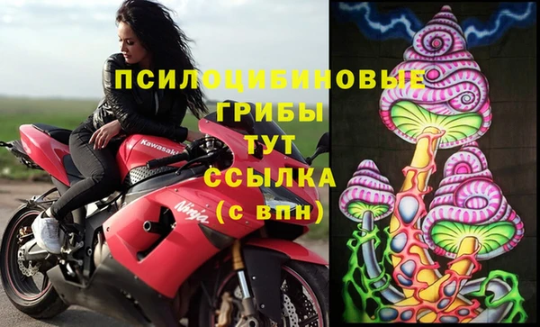 стаф Пересвет