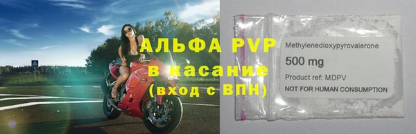 стаф Пересвет