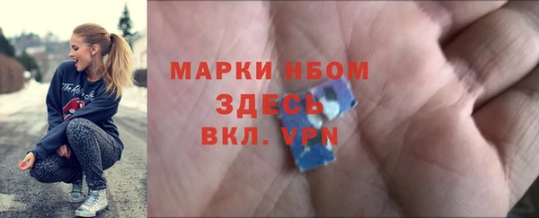 стаф Пересвет