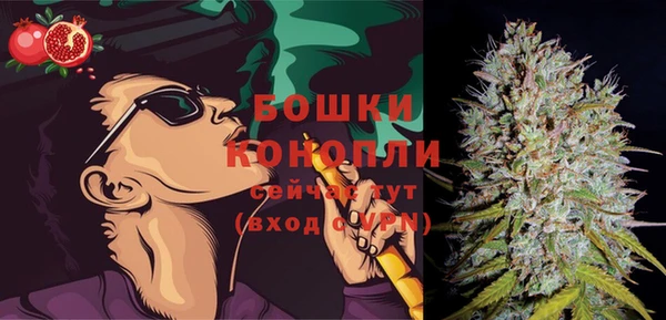 стаф Пересвет