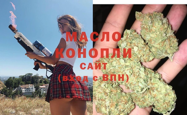 стаф Пересвет