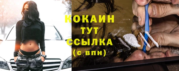 стаф Пересвет